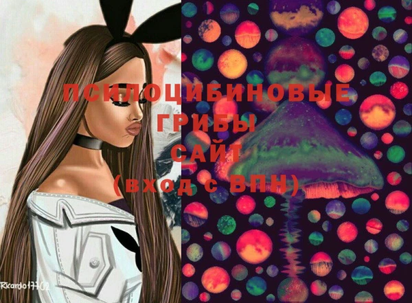 прущие крисы Абинск