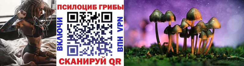 продажа наркотиков  Карачев  Псилоцибиновые грибы Magic Shrooms 